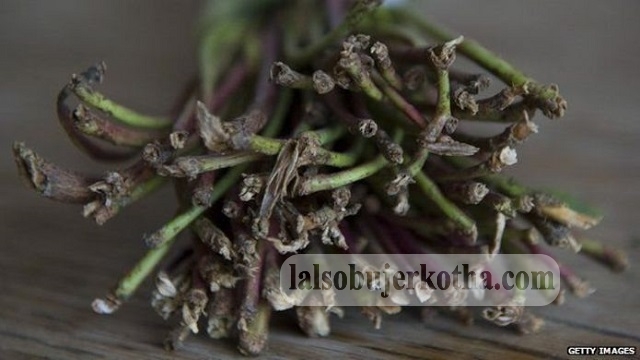 নতুন মাদক 'খাট'