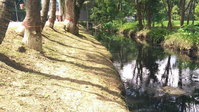 এই পানি আখাউড়ার জীববৈচিত্র্য নষ্টের পাশাপাশি সীমান্তবর্তী ১৫ গ্রামের মানুষের স্বাস্থ্যঝুঁকিও বাড়িয়েছে। ছবি: মাসুক হৃদয়